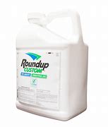 Image result for Roundup Custom Aquatic Terrestrial Herbicide
