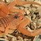 Image result for Scorpion Eyes Animal