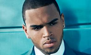 Image result for Chris Brown House On Cribs
