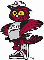 Image result for Temple Owls Mascot