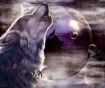 Image result for Cool Wolf Screensavers