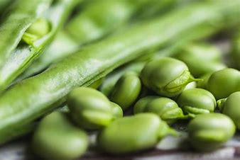 Image result for Broad Beans