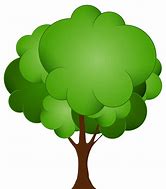 Image result for Tree ClipArt