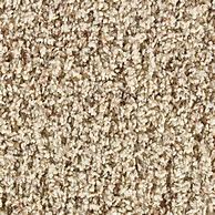 Image result for Home Depot Berber Carpet
