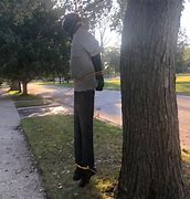 Image result for Person Hanging From Tree
