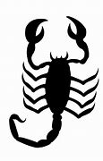 Image result for Female Scorpion Drawing