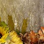 Image result for Fall Harvest Autumn Wallpaper