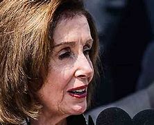 Image result for Pelosi Brooch Pin