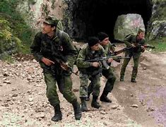 Image result for Serbs in Bosnian War