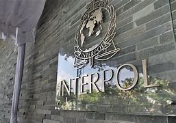 Image result for Interpol Watch List