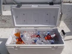 Image result for Small Ice Chest Vintage