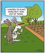 Image result for Spring Is Coming Funny Cartoons