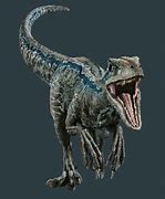 Image result for Velociraptor Blue Jurassic World