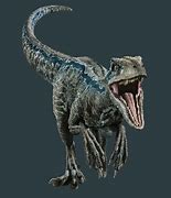 Image result for Velociraptor Real Jurassic World