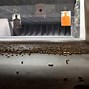 Image result for Gun Stores Near My Location