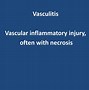 Image result for Blood Vessel Vasculitis