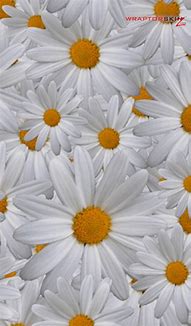 Image result for Spring Wallpaper Floral Kindel Fire