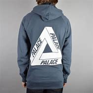 Image result for Palace Tri Ferg Hoodie