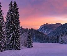 Image result for Snow Wallpaper