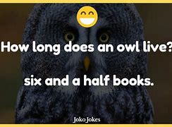 Image result for Owl Jokes