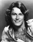 Image result for Peta Andy Gibb