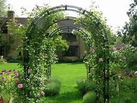Image result for Rose Bush Arches