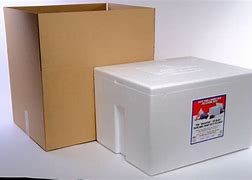 Image result for Styrofoam Ice Chest Cooler