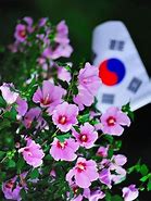 Image result for Seoul Flowers
