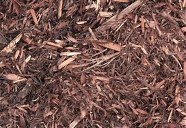 Image result for Western Red Cedar Mulch