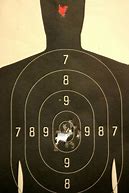 Image result for Best Shooting Targets