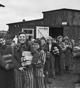 Image result for British Liberation of Bergen Belsen