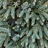 Image result for Blue Star Juniper - Juniperus - Minimal Care Evergreen - 4 Inch Pot