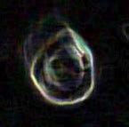 Image result for 2 Orbs with a Face