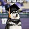 Image result for Funny High School Graduation Pictures