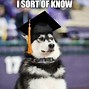 Image result for High School to University Memes