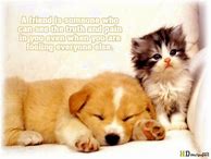 Image result for Cute Animals with Funny Sayings