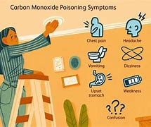Image result for Carbon Monoxide Poisoning Body