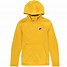 Image result for Men's Nike Pro Pullover Hoodie