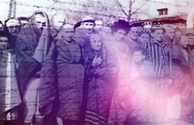 Image result for Concentration Camps Belsen Gas Chambers