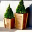 Image result for Tall Wooden Planters