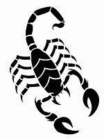 Image result for Scorpion Drawing Black Background