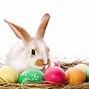 Image result for Easter Adverts