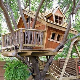 Image result for Building a Treehouse