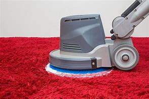 Image result for Carpet Cleaning Sterilizing Equipment