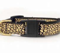 Image result for Gold Cat Collar