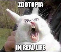 Image result for Zootopia Dnd Meme