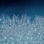 Image result for Frosted Ice