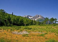 Image result for Mountain Meadow, Utah