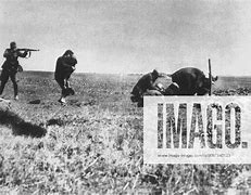 Image result for Einsatzgruppen Ukraine