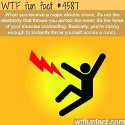 Image result for School WTF Fun Fact